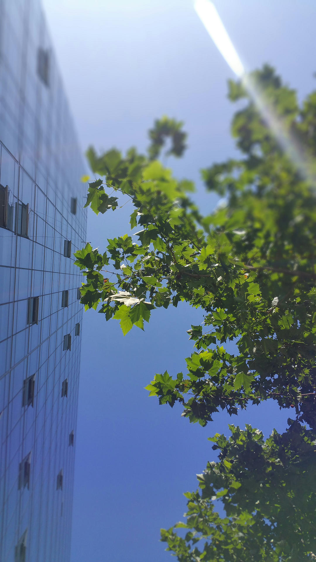 ALSTAL – ochrona środowiska naturalnego – zrównoważone budownictwo – ESG